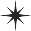 noun_Star_4119439 2